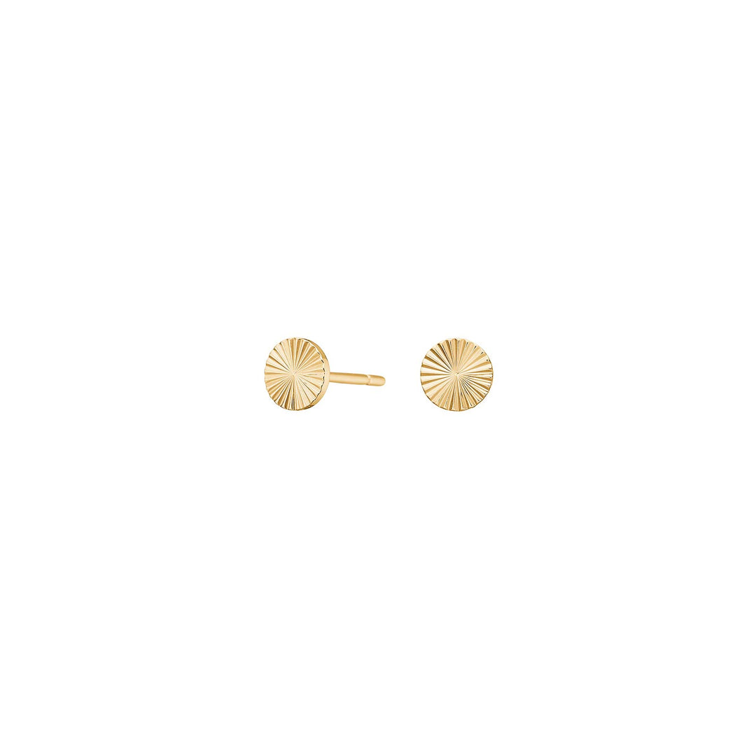 Titanium Ohrstecker, Kreis, vergoldet