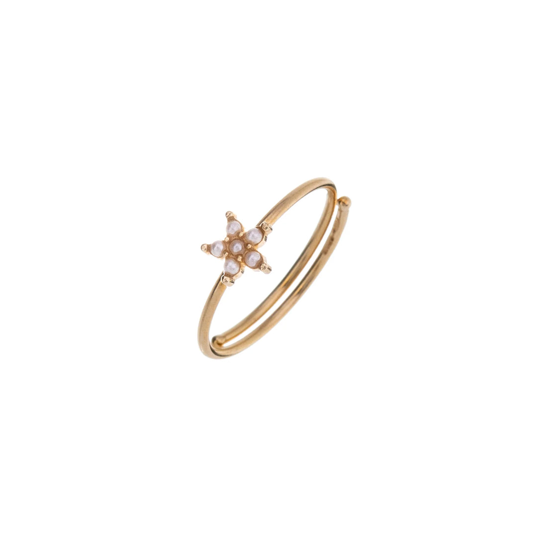 Ring Twinkle