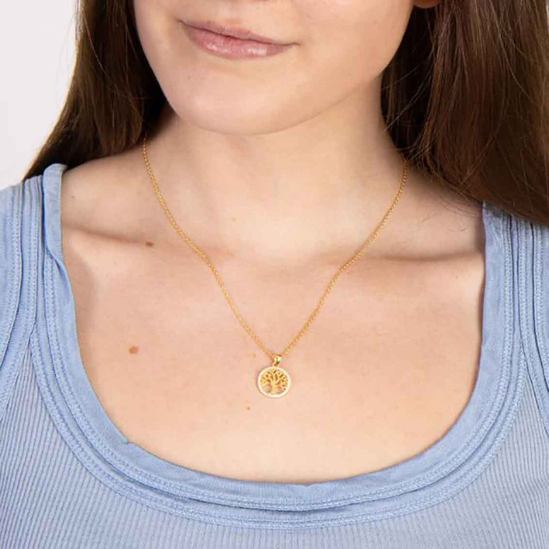 Joanli Nor vergoldete Silber Halskette CAIANOR 15mm