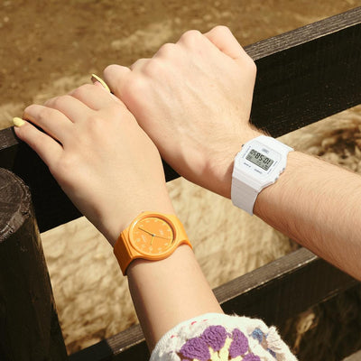 Casio MQ-24B-9BEF Timeless Collection