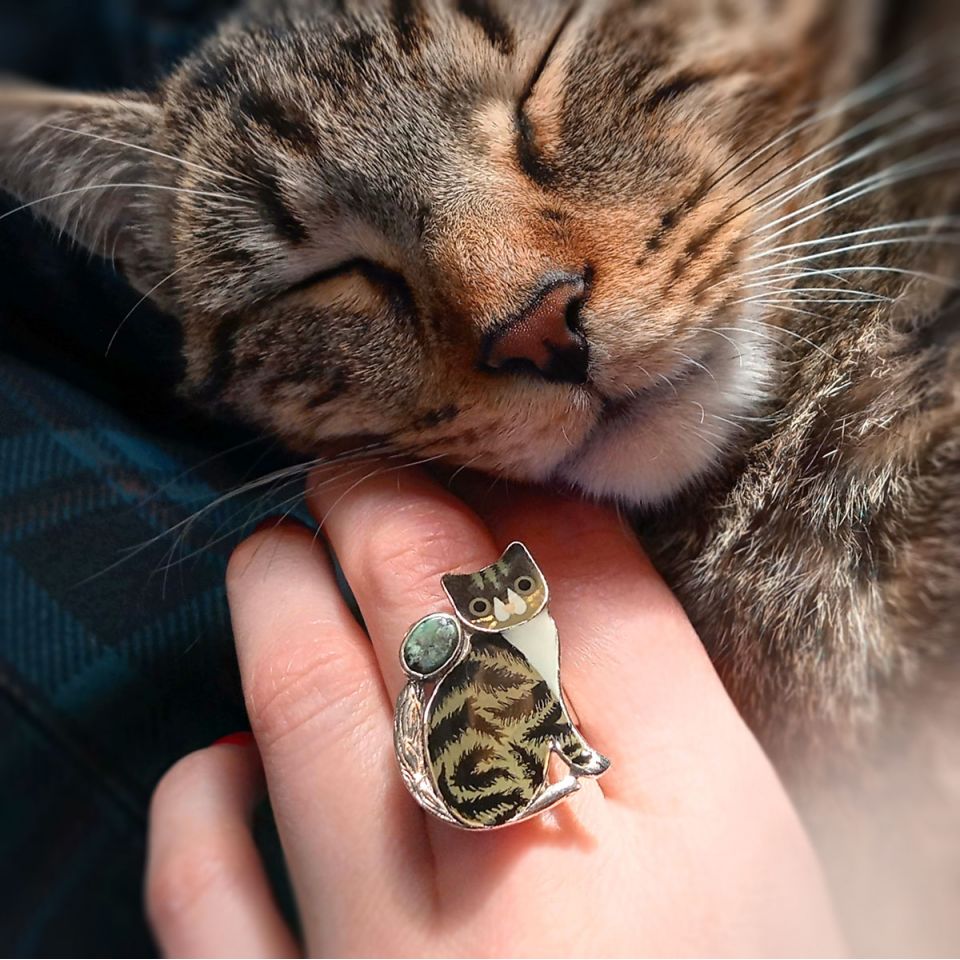 Ring Tabby