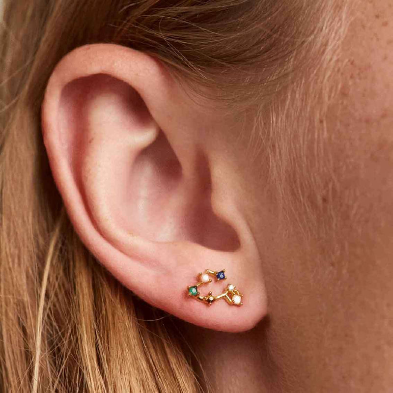 Ohrringe Fische, Sterlingsilber, vergoldet – Tierkreiszeichen - My Fine Jewellery